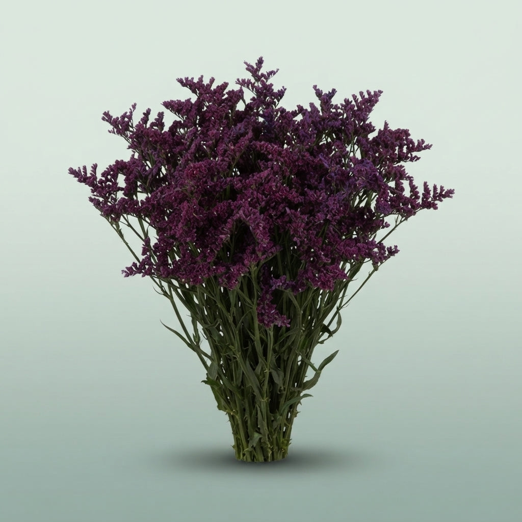 FeedSync:wholesale:7d974edba5880ddfd21b72935981234db5978bc5