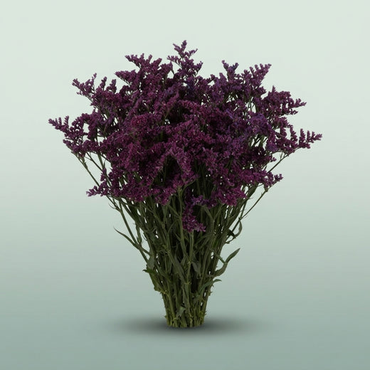 FeedSync:wholesale:7d974edba5880ddfd21b72935981234db5978bc5