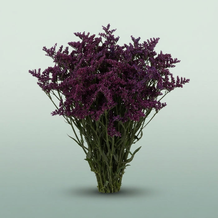 FeedSync:wholesale:7d974edba5880ddfd21b72935981234db5978bc5