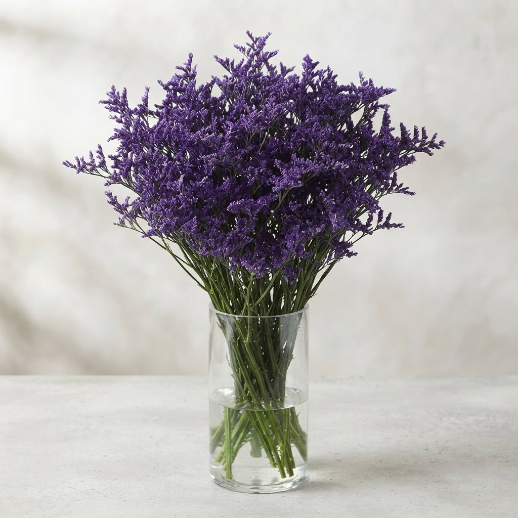 FeedSync:wholesale:6dfd4dbbd784cd4367a8371cdb97956286da7fdb