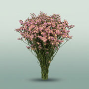 FeedSync:wholesale:9583a1b796b0a20bdb46f8661dec0923d80d4edf