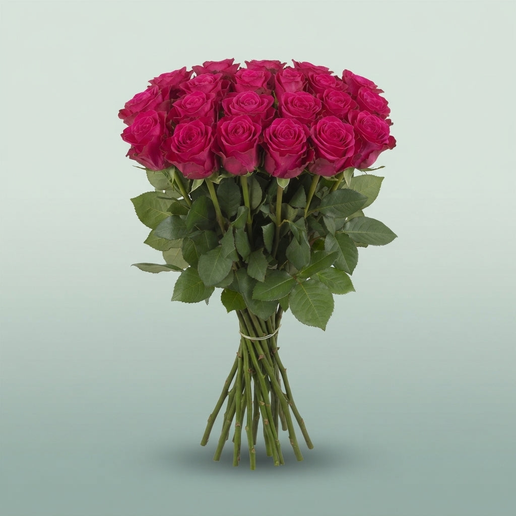 FeedSync:wholesale:6e2ccdd8aa3db1861d178800aa0169c7b9df2f2e