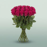 FeedSync:wholesale:6e2ccdd8aa3db1861d178800aa0169c7b9df2f2e