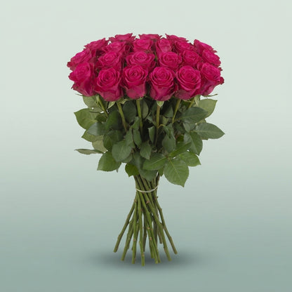 FeedSync:wholesale:6e2ccdd8aa3db1861d178800aa0169c7b9df2f2e