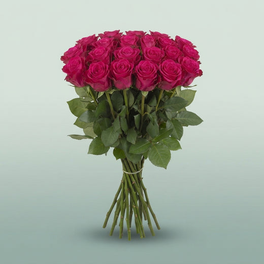 FeedSync:wholesale:6e2ccdd8aa3db1861d178800aa0169c7b9df2f2e