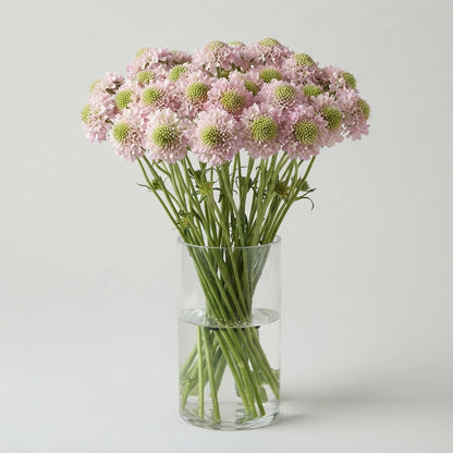 FeedSync:wholesale:fd3a5d29db3230e94f502cd1ad4a46e212b27e64