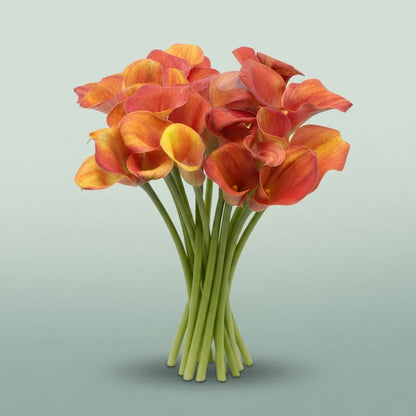 FeedSync:wholesale:a5ed74ad4316eb65a1ea95a11bd84677dff47f8d