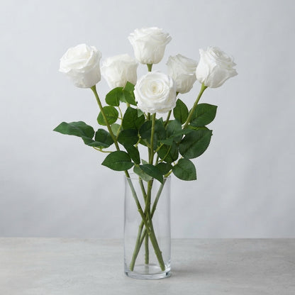FeedSync:wholesale:42c5f0befb3a316c1ef11e11014ef47dc7ef3297