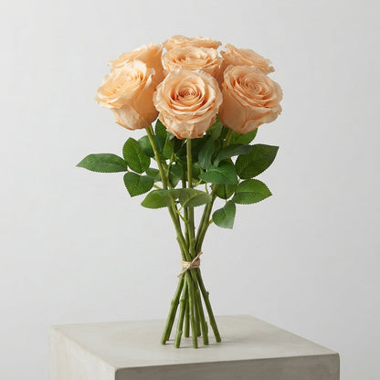 FeedSync:wholesale:5bff5814fb7c2cbf87974a90e4160b3b629f5f58