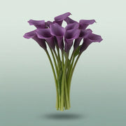 FeedSync:wholesale:c6916d781fadcc2ab377ef1d18be16c9e8c1c9aa