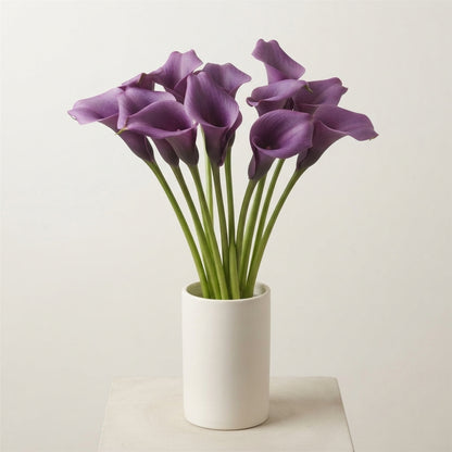 FeedSync:wholesale:9b8fee8b4bbaf2aaef2d35bc59c27a1aab8258ad