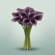 FeedSync:wholesale:f2588edf063b8b2314d1081e5480e679831d124e