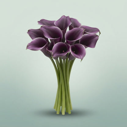 FeedSync:wholesale:f2588edf063b8b2314d1081e5480e679831d124e