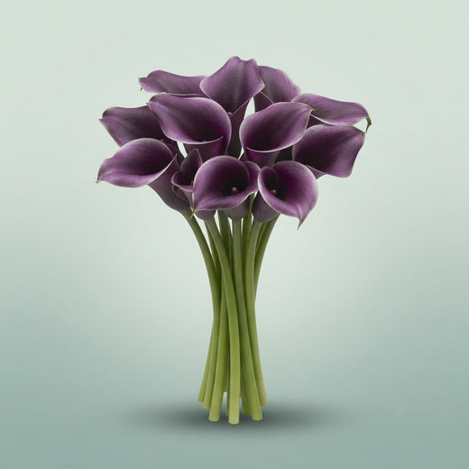 FeedSync:wholesale:f2588edf063b8b2314d1081e5480e679831d124e