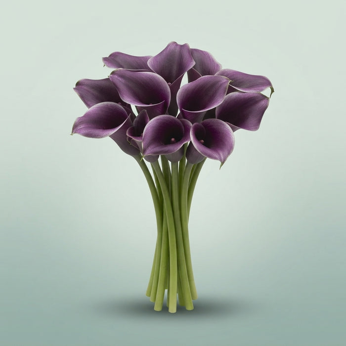 FeedSync:wholesale:f2588edf063b8b2314d1081e5480e679831d124e