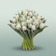FeedSync:wholesale:fed6cd29f4a32e5bda13385d7a6bcddf41b85dd0