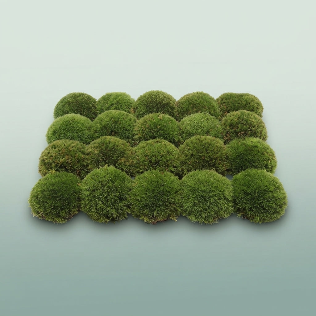 FeedSync:wholesale:54573cff7e0da52ed949ef113d17a1e3725a003c