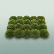 FeedSync:wholesale:54573cff7e0da52ed949ef113d17a1e3725a003c