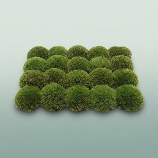 FeedSync:wholesale:54573cff7e0da52ed949ef113d17a1e3725a003c