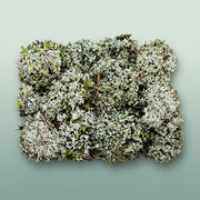 FeedSync:wholesale:dbf57a8b75d0359f56a16aee986366622dbb33d9