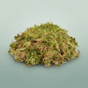 FeedSync:wholesale:43627ebdfc5f6832ab748da0522158a283ef4450