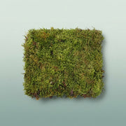 FeedSync:wholesale:9e30459c82b913fd8c304cdc6e92e40d14436477