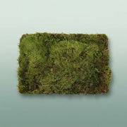 FeedSync:wholesale:f9f99d5dc7a2779747365e70d4cb909c7d62f9df
