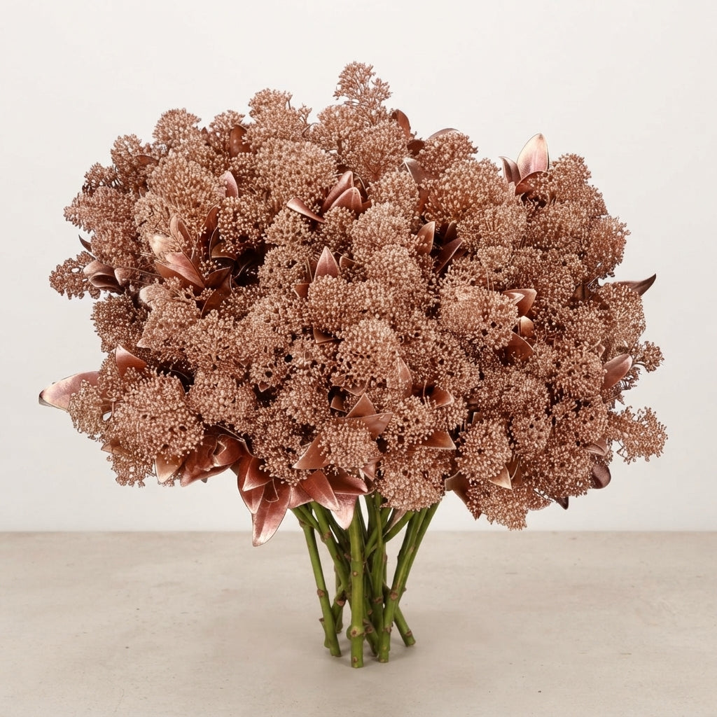 FeedSync:wholesale:8fff0f72ef1f8081f0b007bedc6ecd3db5a3afcd