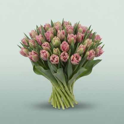 FeedSync:wholesale:162cd0ef897aea8c8fc7625776a6ea5fc90cb33a