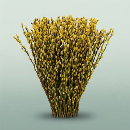 FeedSync:wholesale:365761fcd4d4fffb43170926bac00283e84b45dd