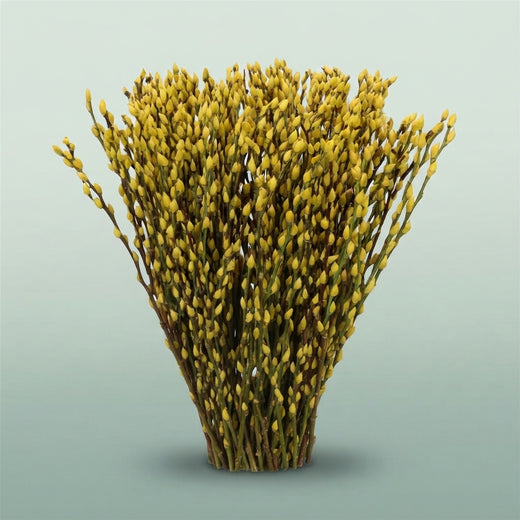FeedSync:wholesale:365761fcd4d4fffb43170926bac00283e84b45dd