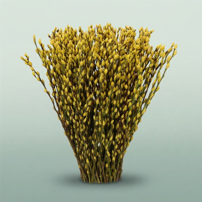 FeedSync:wholesale:365761fcd4d4fffb43170926bac00283e84b45dd