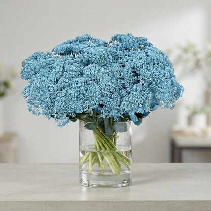 FeedSync:wholesale:04520476a27474f85d7bfda65f470b6dbc259caf