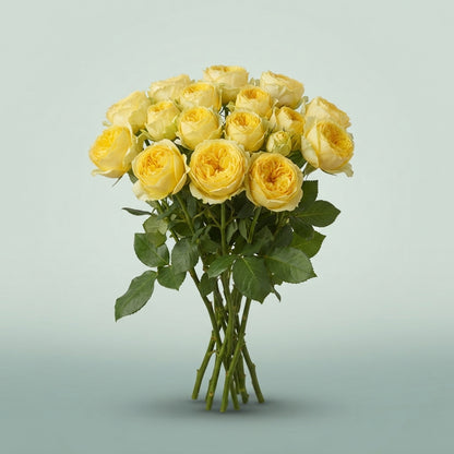 FeedSync:wholesale:4a9c4b80db1a465e69e8531b6a54822cdaa79078