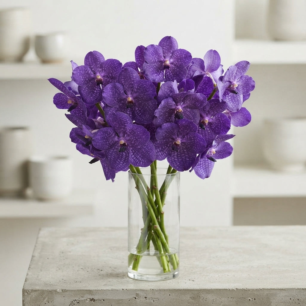 FeedSync:wholesale:5d1d444910ecd6f9b1ae1d3ceabbb184712bf88a