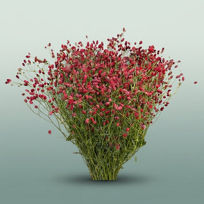 FeedSync:wholesale:1c032107626f37328ee80385087c420c950922a9