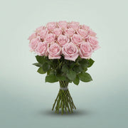 FeedSync:wholesale:4a5e405c4561e5b1c8c7c5f0e8af70435506a5a7