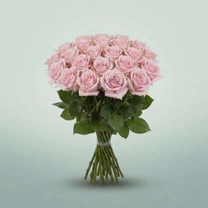 FeedSync:wholesale:4a5e405c4561e5b1c8c7c5f0e8af70435506a5a7
