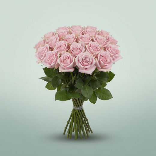 FeedSync:wholesale:4a5e405c4561e5b1c8c7c5f0e8af70435506a5a7