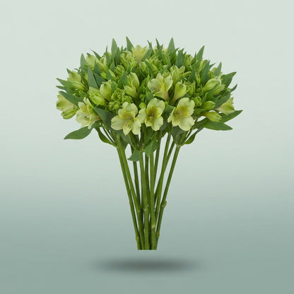 FeedSync:wholesale:efbc519ba7b7dc4ca299036af5cf6074a202f4b1