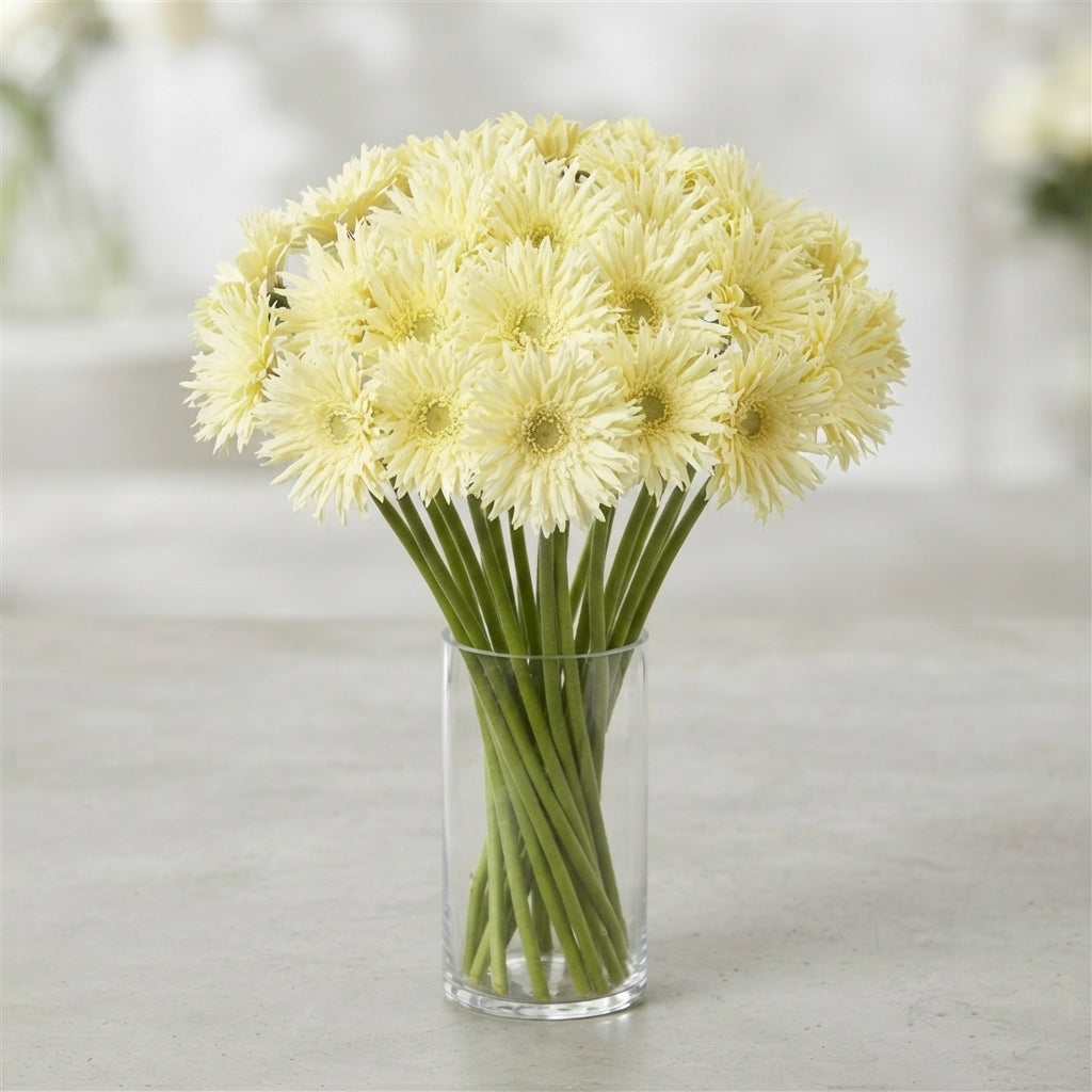 FeedSync:wholesale:93e1aa93cc8766e856432be845f480ff11a09ea6