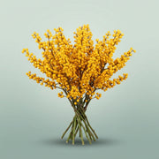 FeedSync:wholesale:934e93cf012bb519a6b707d060aba89cef6e2ff1