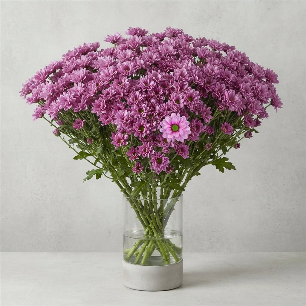 FeedSync:wholesale:4aade69f88243100bfa2c40e02cb8c11ae69f3d5