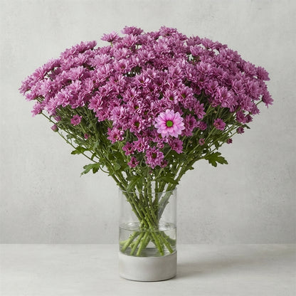 FeedSync:wholesale:4aade69f88243100bfa2c40e02cb8c11ae69f3d5