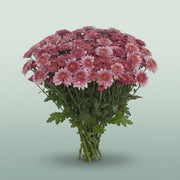 FeedSync:wholesale:51b05bb611e2e19d78cdd33fd9e2e6fa68a414b0