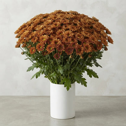 FeedSync:wholesale:8ffefd4053b1f293141fdccf9443e100df5fdcc4