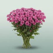 FeedSync:wholesale:4ab3e7004f136f4fc43ede2509c661bc94300df2