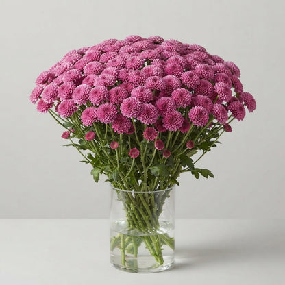 FeedSync:wholesale:7ffa0c1635bdf86abc96ba4e1c1566f88075ec8b