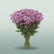 FeedSync:wholesale:11f9d2f3fe3908f4460832b9b68c8de2dbbbe7b4