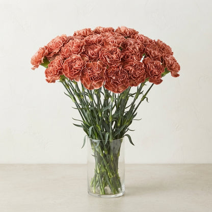 FeedSync:wholesale:c06f5865415c8a3f6c08085ed88333d702d8d423